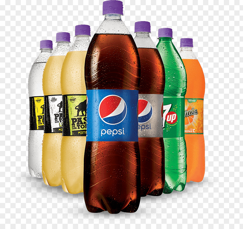 Bottle Fizzy Drinks Drinking PNG