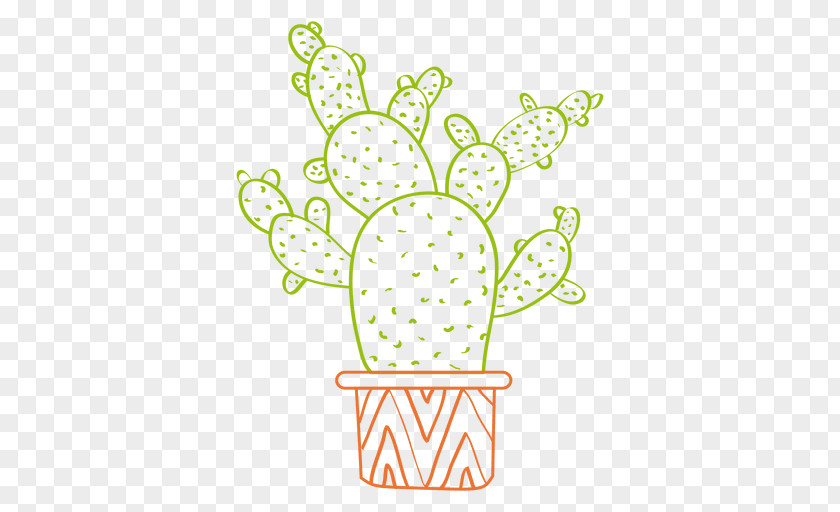 Cactus And Succulents Cactaceae Drawing Clip Art PNG