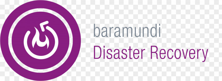 Disaster Recovery Computer Software Deployment Technical Support Remote Desktop Baramundi PNG