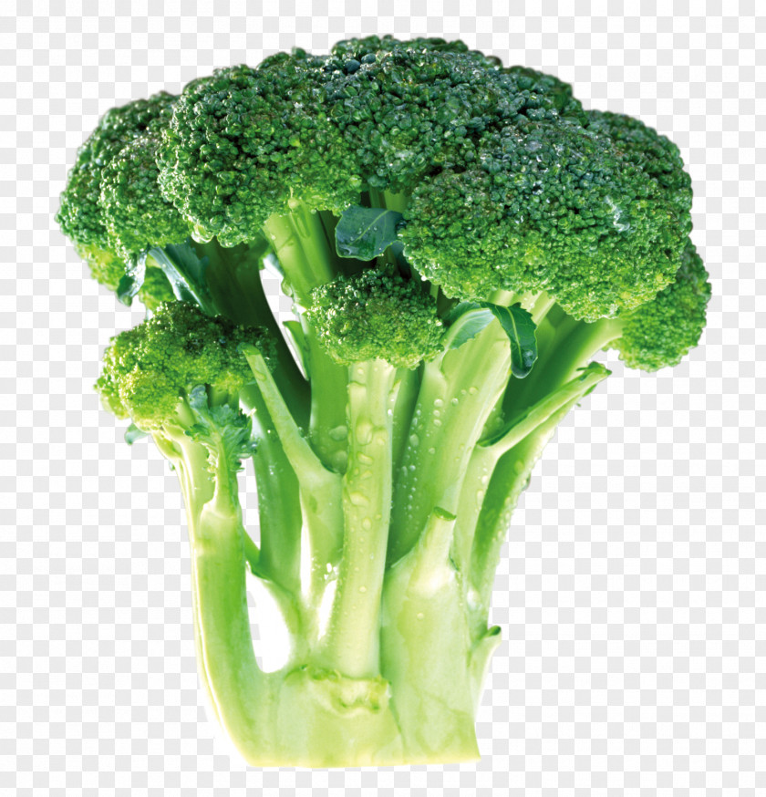Green Cauliflower Broccoli Vegetable Food Chinese Cabbage PNG