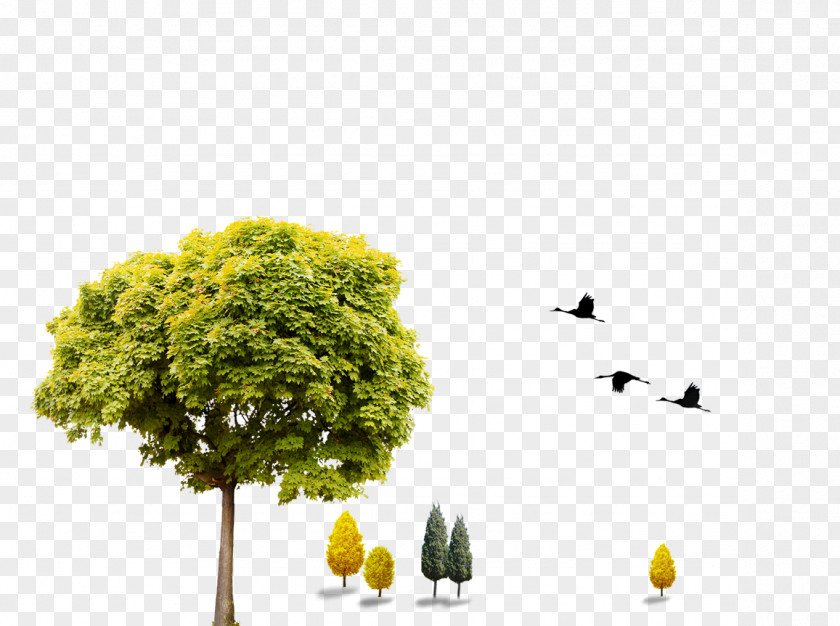 Green Trees Download Computer File PNG