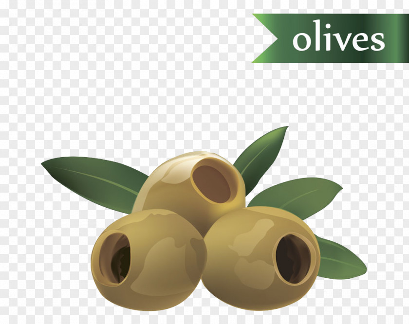 Hand-painted Olive Oil Fruit Leaf PNG