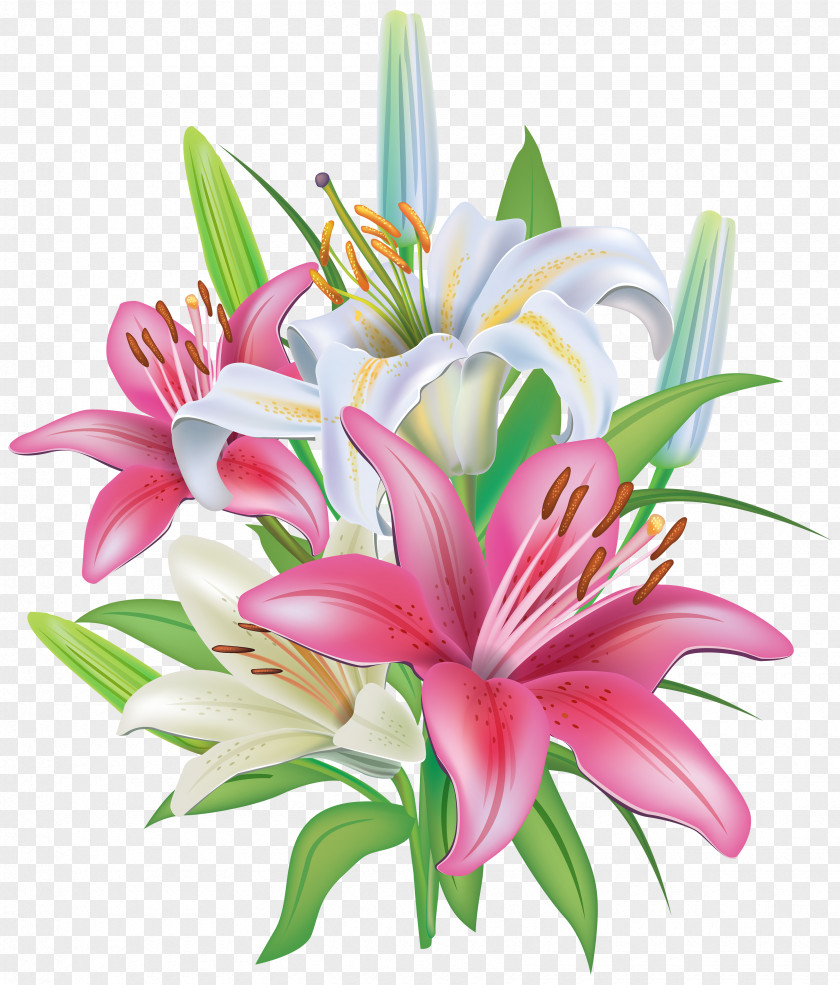 Lilies Flowers Decoration PNG Clipart Image Lilium 'Stargazer' Flower Clip Art PNG