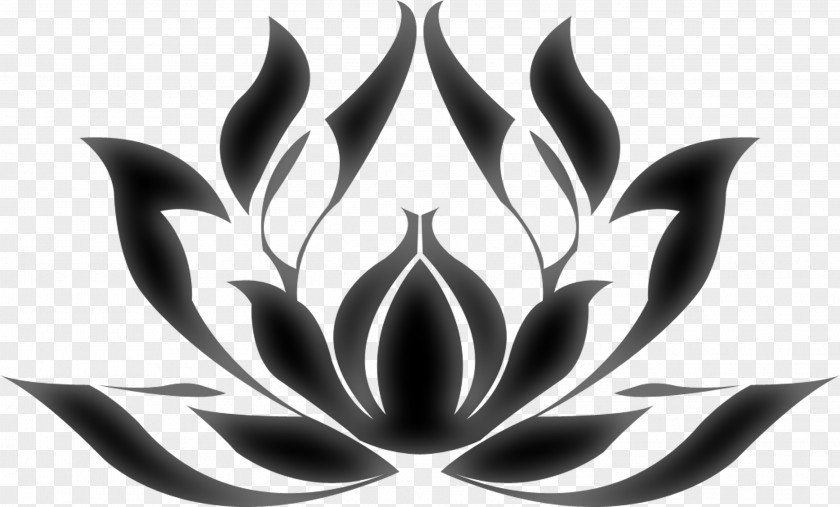 Lotus Nelumbo Nucifera Egyptian Nymphaea Plant Symbolism PNG