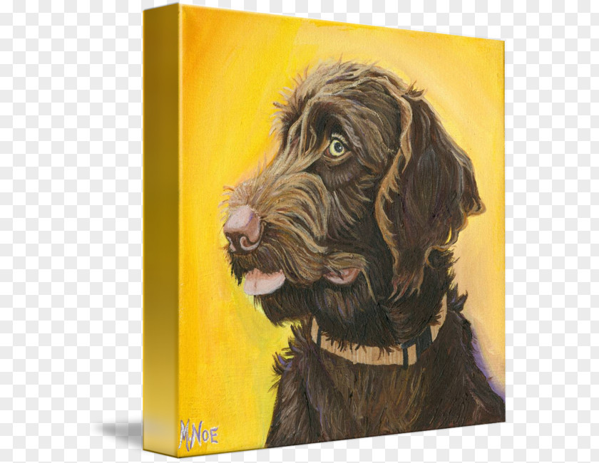 Painting Boykin Spaniel Flat-Coated Retriever Labradoodle Wirehaired Pointing Griffon Labrador PNG