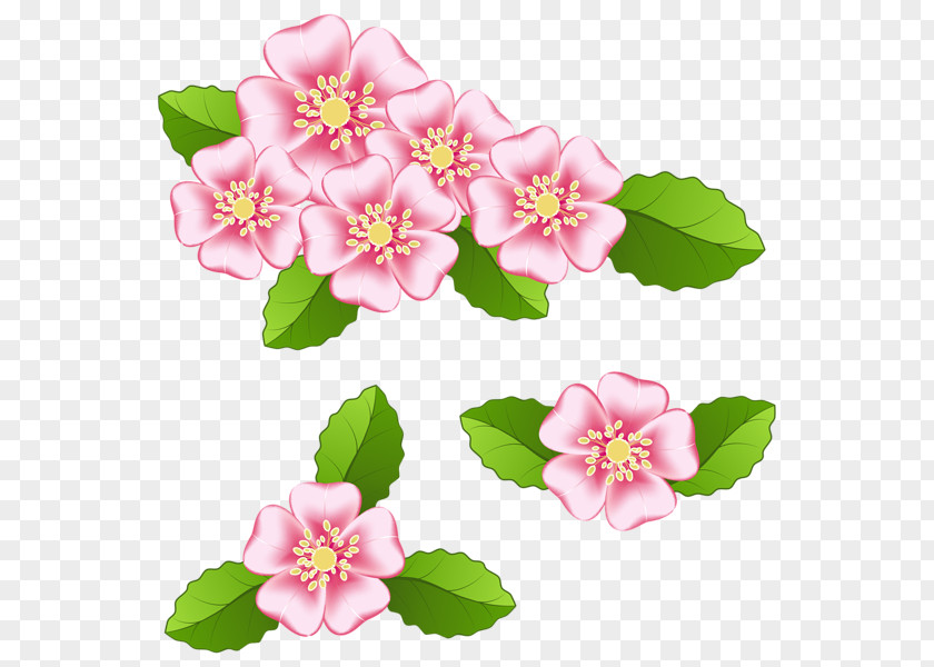 Pink Flower Clip Art PNG