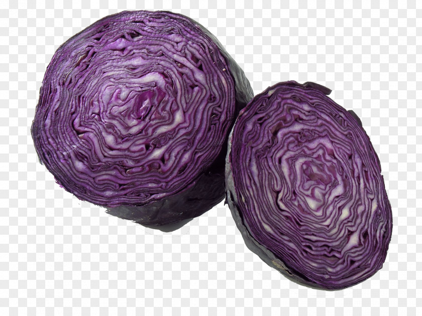 Vegetable Red Cabbage Coleslaw PNG