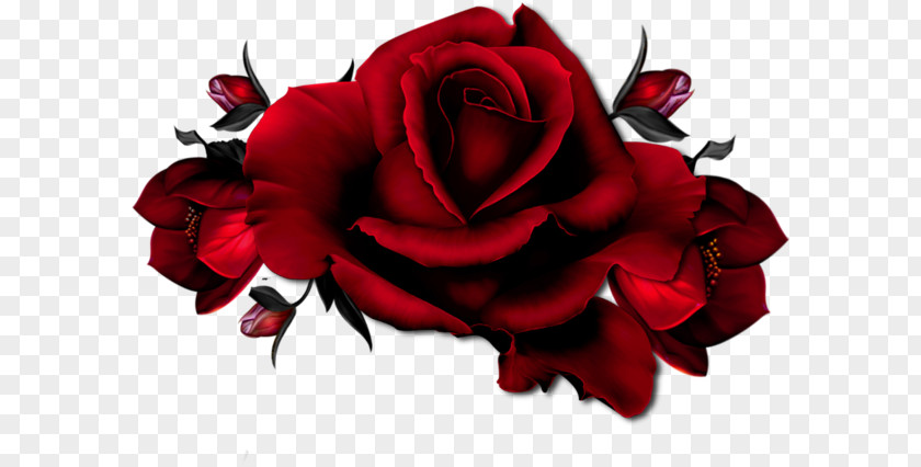 A Red Rose Pink Clip Art PNG