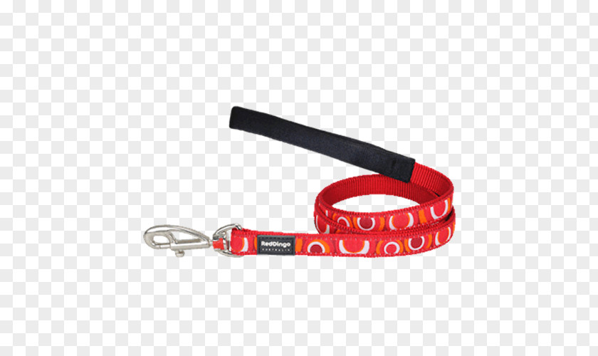 Dog Leash Dingo Collar PNG