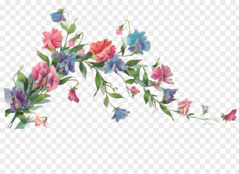 Floral Transparent Flower Painting Clip Art PNG