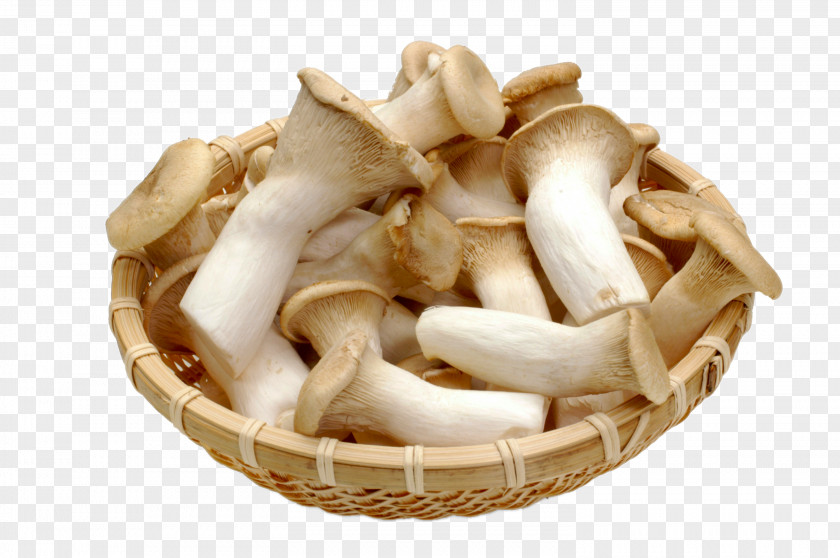 HD Sieve Stacked Mushrooms Pleurotus Eryngii Japanese Cuisine Oyster Mushroom Zosui PNG