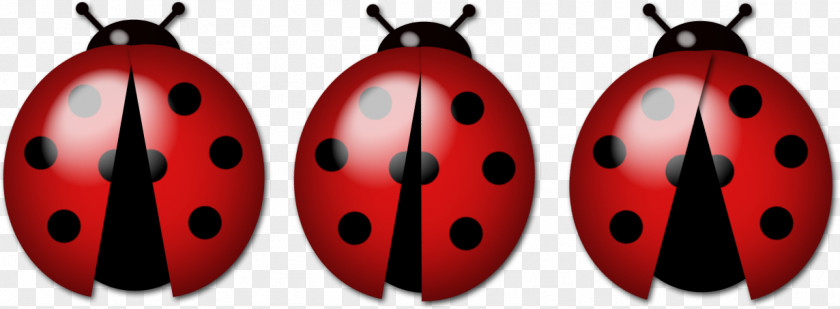 Insect Ladybird Luck Family PNG