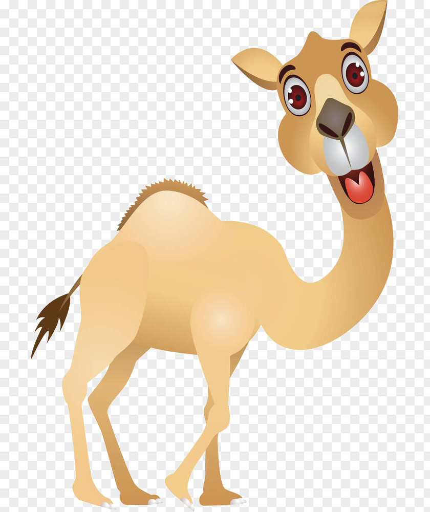 Cartoon Hand Painted Camel Royalty-free Clip Art PNG