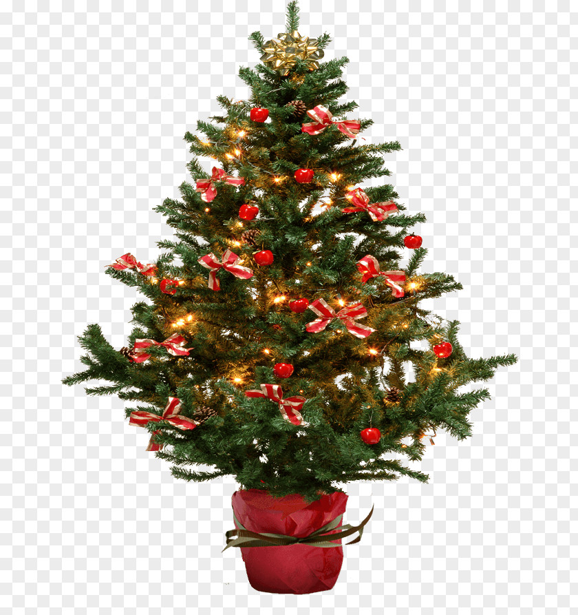 Christmas Fir-Tree Image Tree Fir PNG