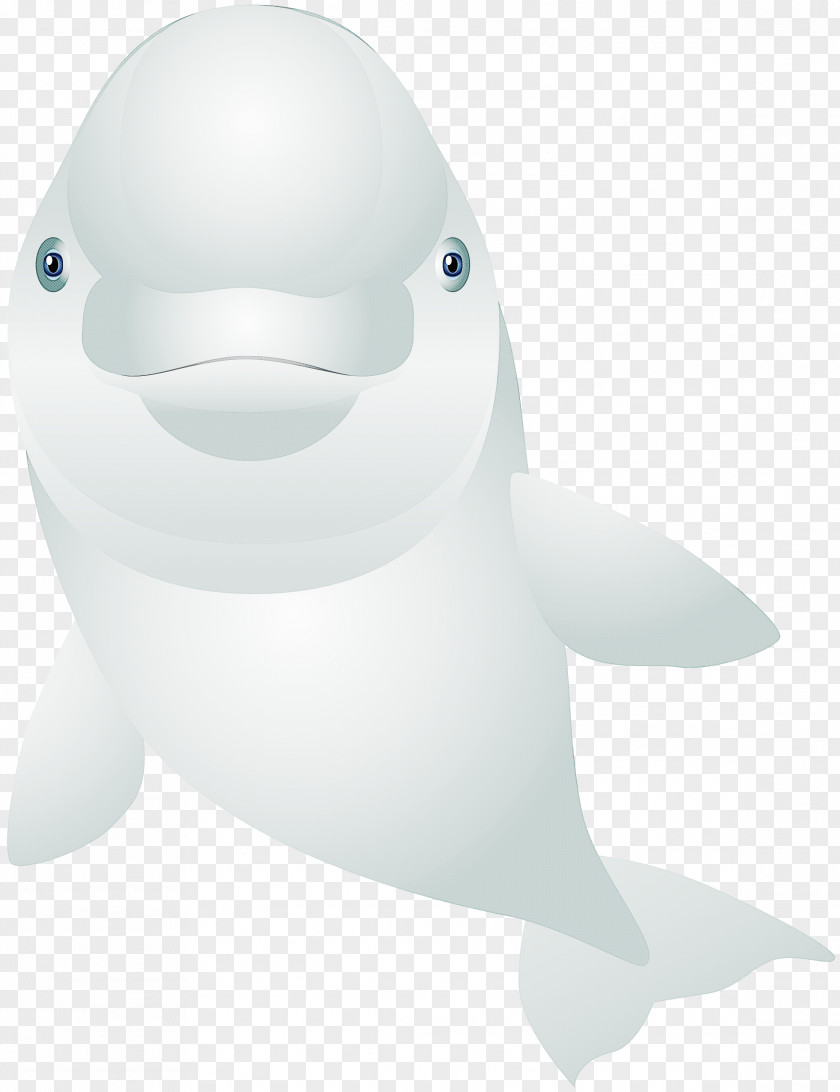 Dolphin Cetacea Beluga Whale PNG