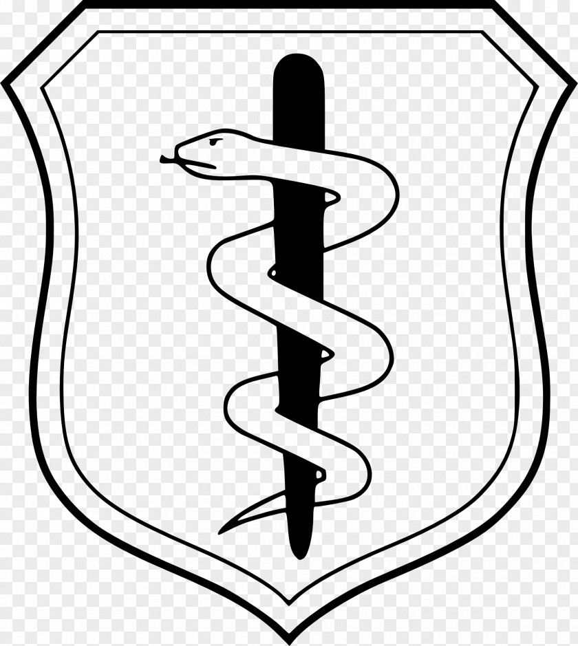 Military Badges Of The United States Air Force Medical Service Navy Corps Specialty Code PNG