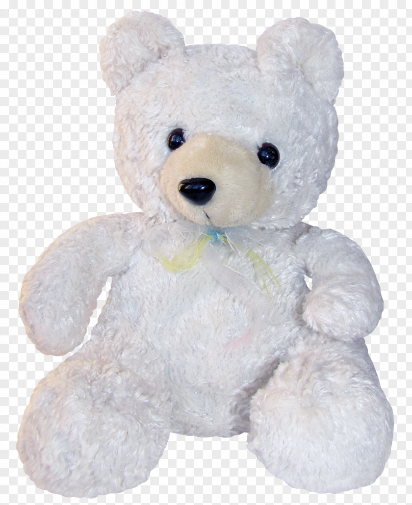 Teddy Bear Polar Toy Giant Panda PNG bear panda, Beautiful white toy clipart PNG