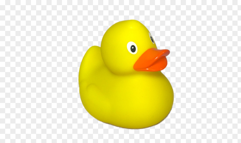 Duck Rubber Toy Yellow Natural PNG