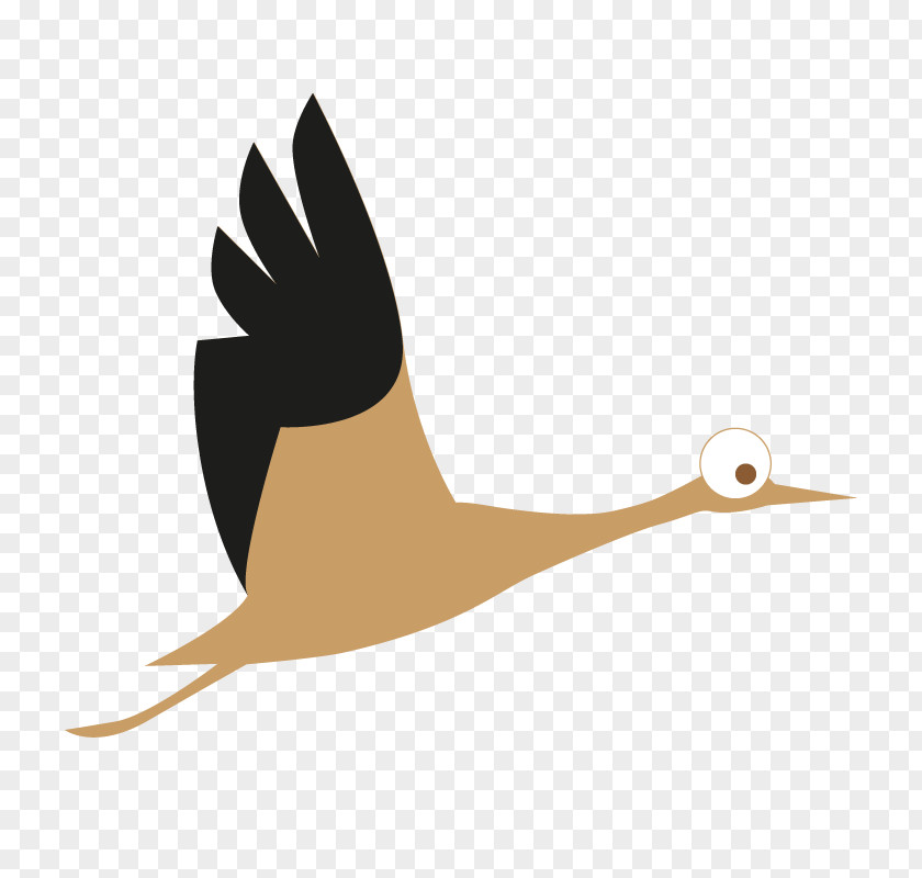 Kinder Garten Water Bird Goose Cygnini Duck PNG