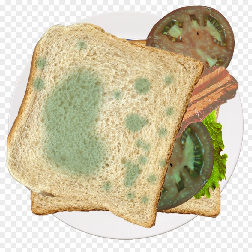 Moldy Toast Tomato Recipe PNG