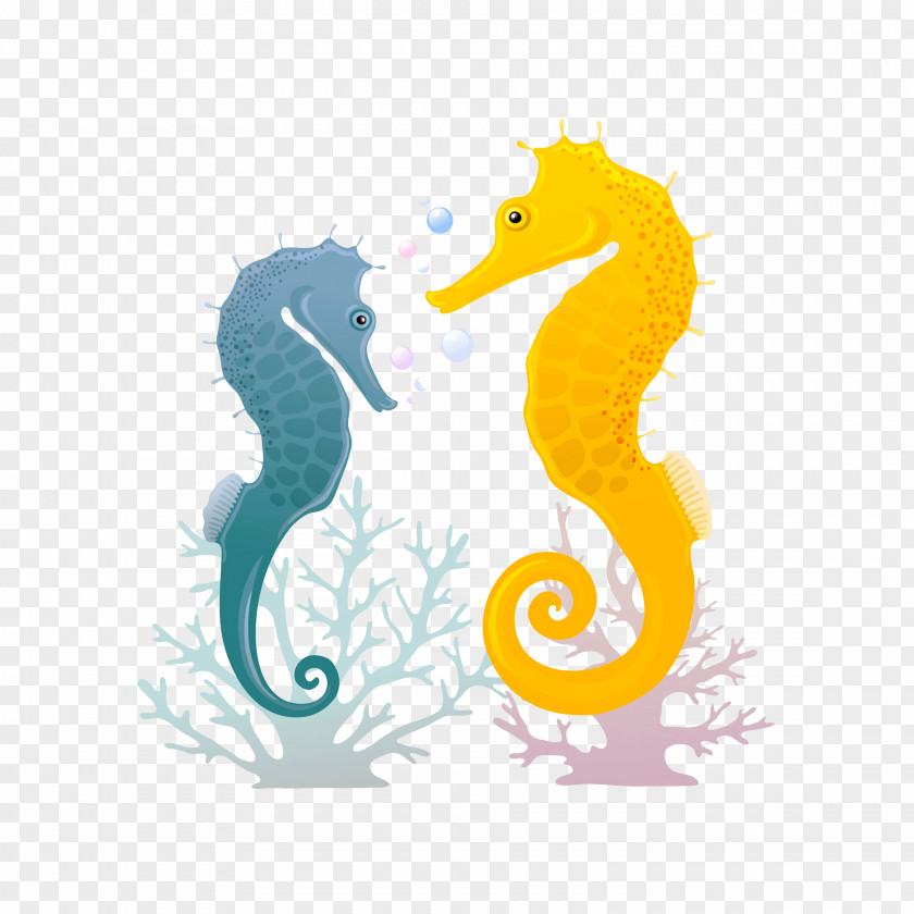 Seahorse Illustration Clip Art Drawing PNG