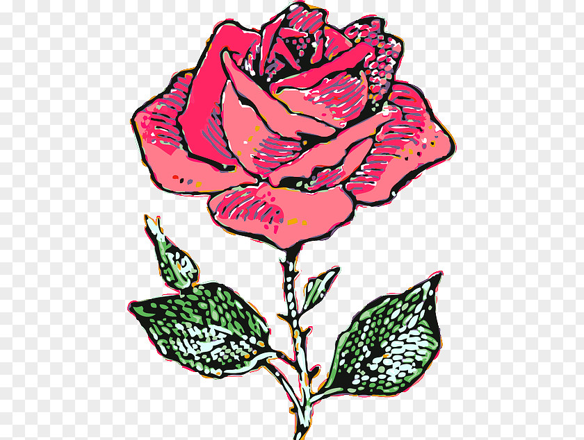 Bunga Anggrek Black Rose Drawing Clip Art PNG