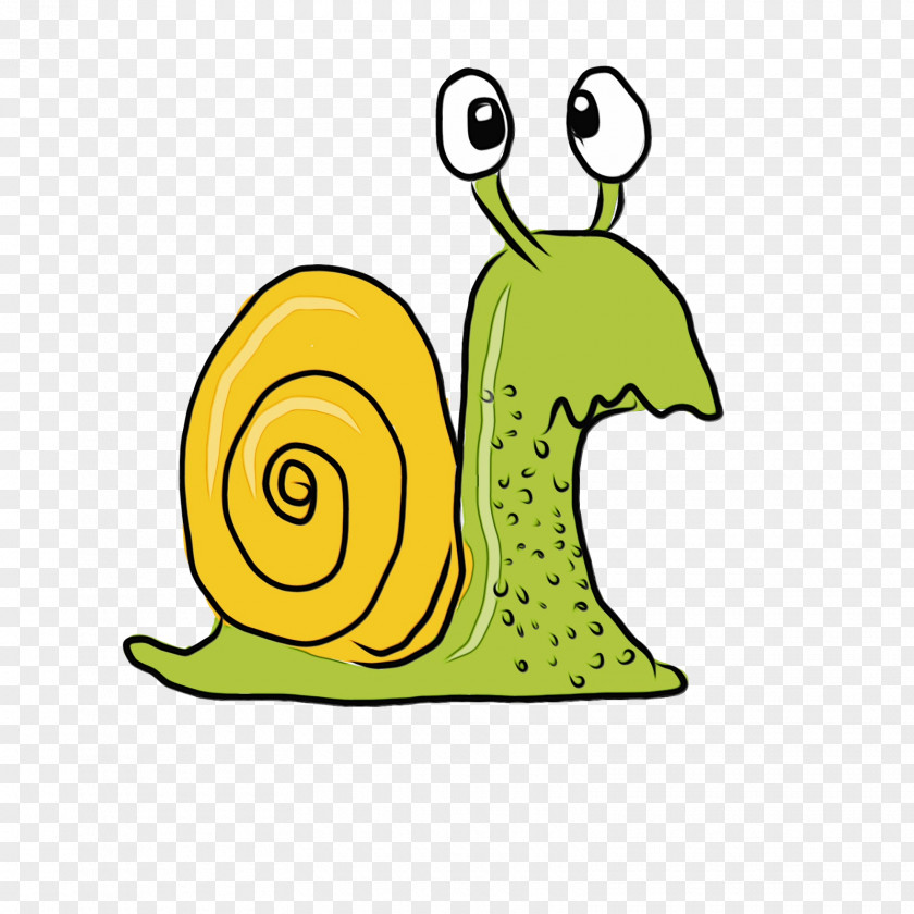 Sea Snail Slug Snails And Slugs Green Cartoon Yellow PNG
