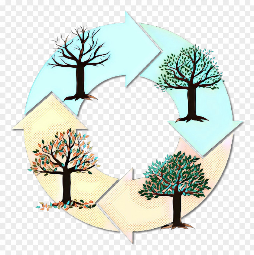 Winter Pine Family Autumn Leaf Drawing PNG