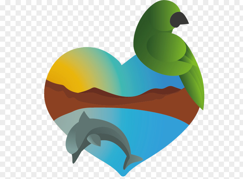 Aika Streamer Beak Illustration Clip Art Bird Heart PNG
