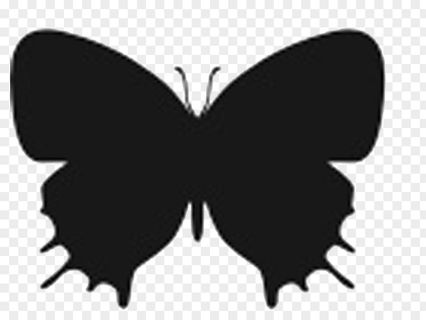 Butterfly Insect Silhouette Stencil PNG