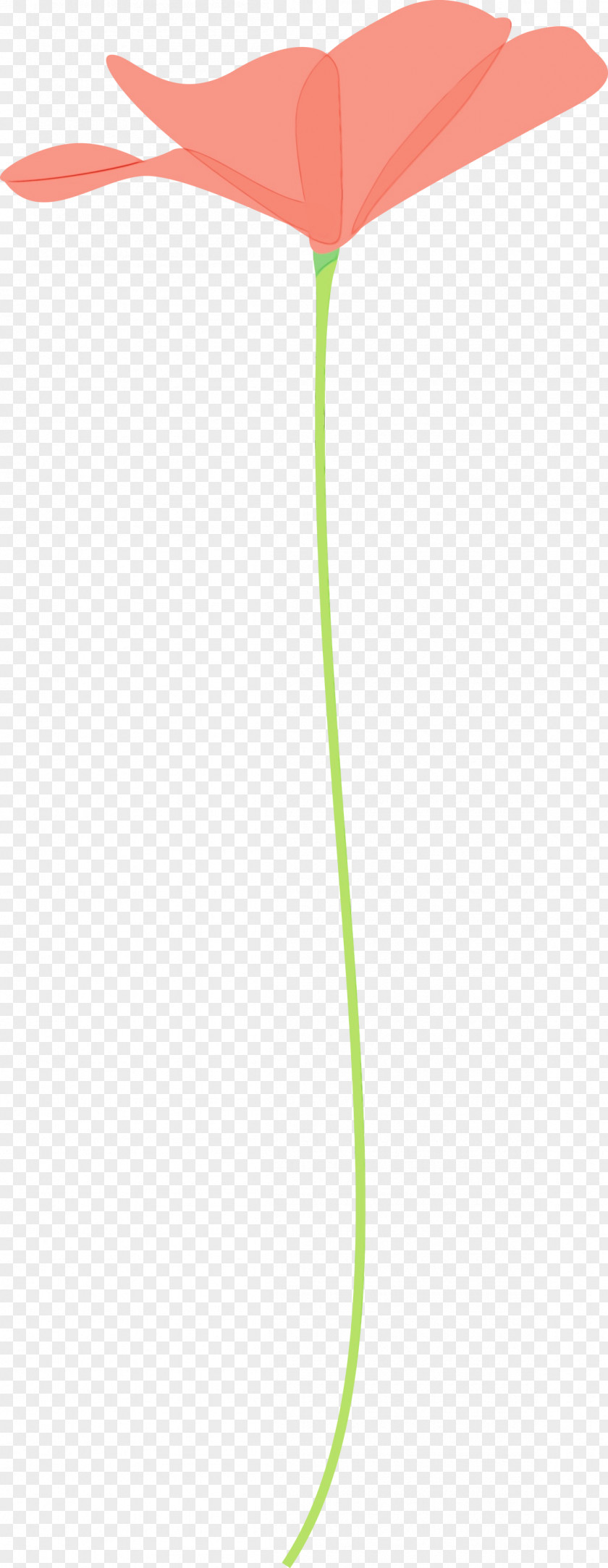 Green Plant Stem PNG