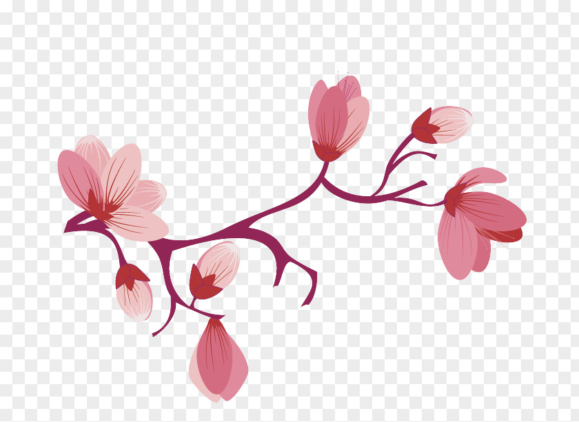 Plant Stem Blossom Flower Pink Petal Branch PNG