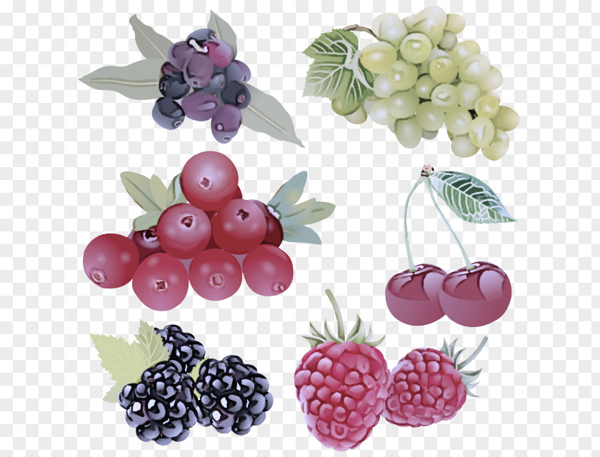 Berry Fruit Plant Seedless Blackberry PNG