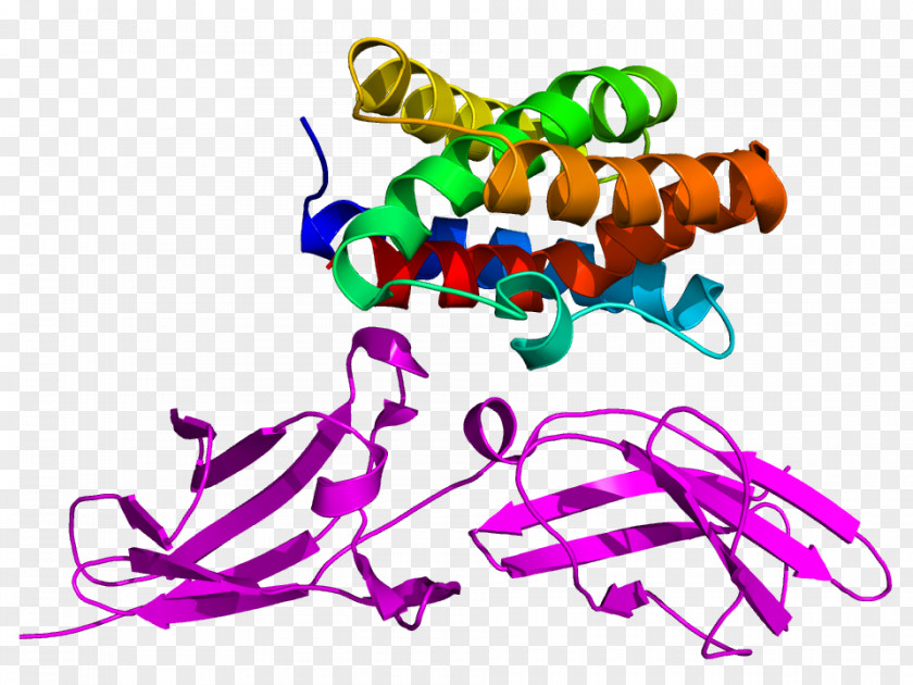 Cellular Interleukin 22 10 Interleukin-2 Protein PNG