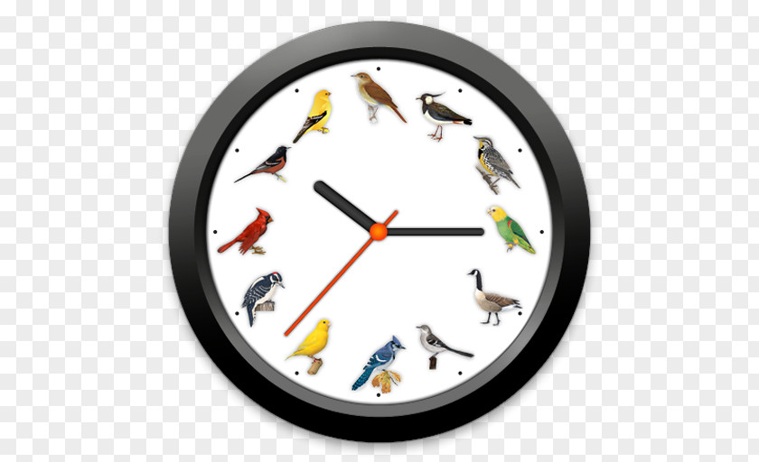 Clock Clip Art PNG