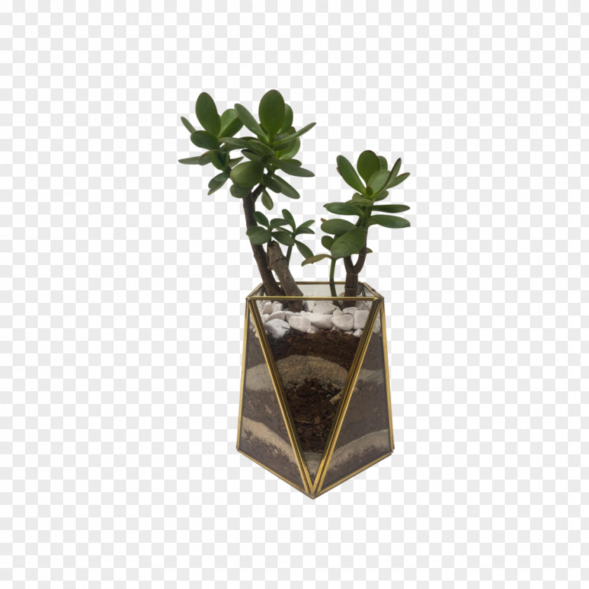 Cristall Flowerpot Glass Houseplant Material Metal PNG