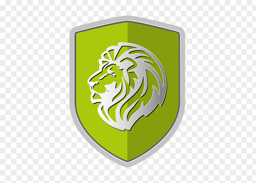 Insurance Icon Dawit Agency LTD Conquest Extramilest Image PNG