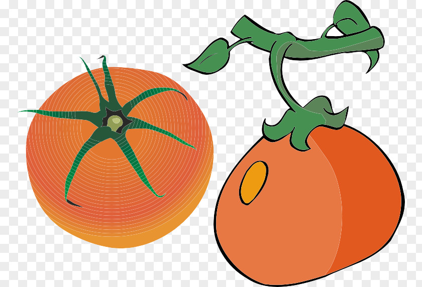 Two Tomatoes Pumpkin Orange Auglis Cartoon PNG
