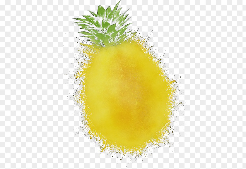 Ananas Fruit Pineapple PNG