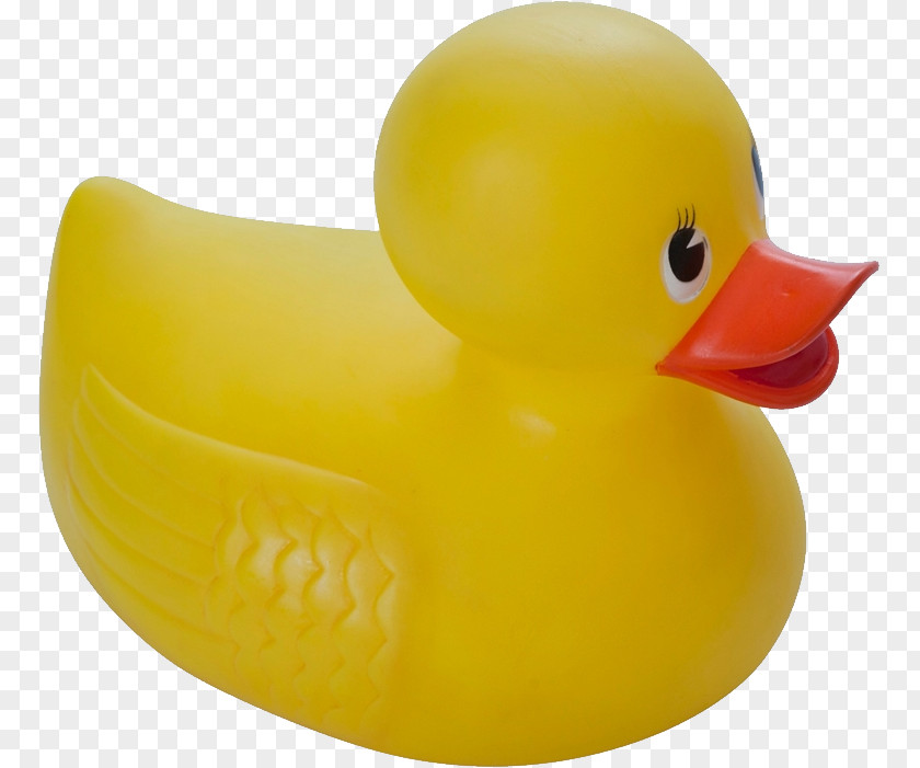 Duck Rubber Yellow Toy Badleksak PNG