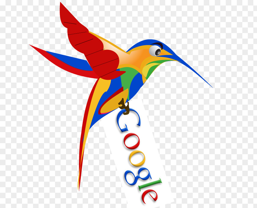 Google Hummingbird PageRank Search PNG