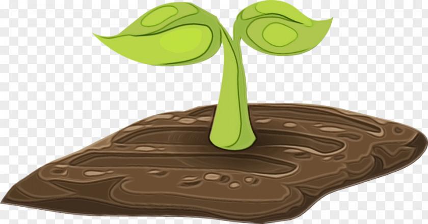 Plant Tree Green Leaf Watercolor PNG