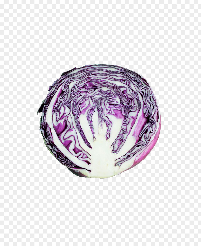 Purple Cabbage Red Vegetable Food PNG