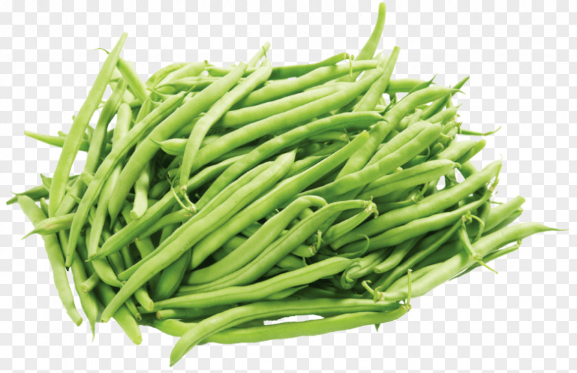 Vegetable Green Bean Edamame PNG