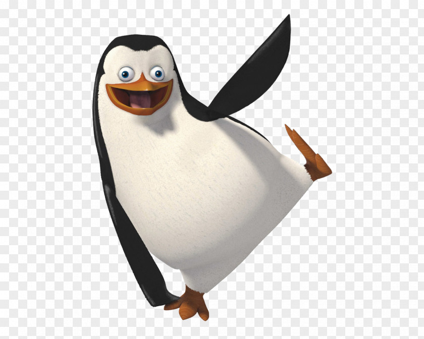 Actor Penguin Skipper Madagascar Clip Art PNG