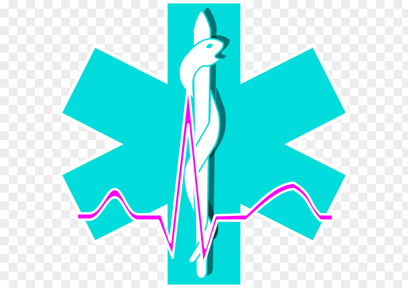 Ambulance Paramedic Emergency Medical Technician Clip Art PNG