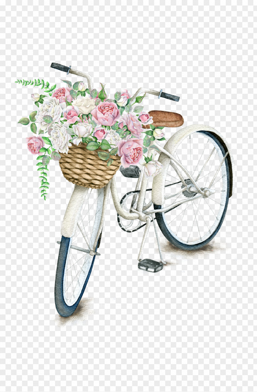 Bicycle Baskets Clip Art Cycling PNG