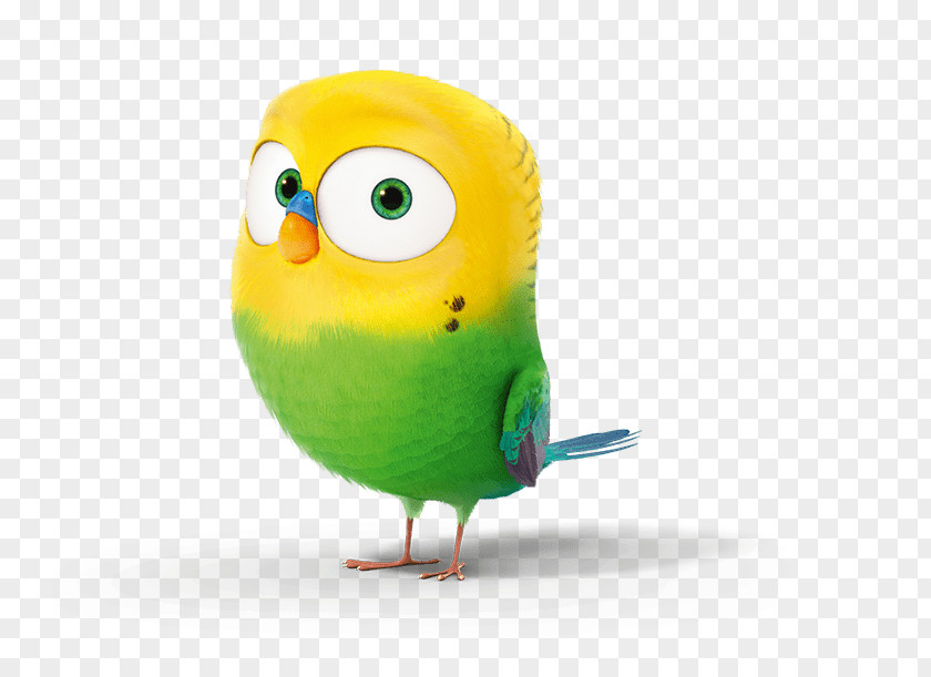 Cat Budgerigar Pet Dog Drawing PNG