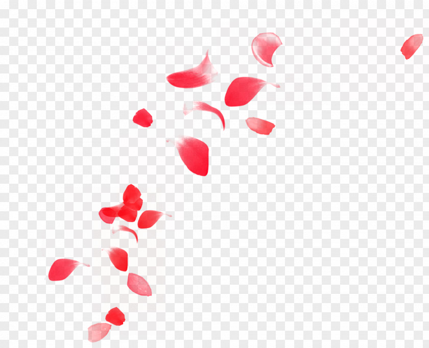 Free Floating Petals Buckle Material Petal Euclidean Vector PNG