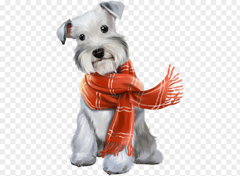 Puppy Miniature Schnauzer Maltese Dog Clip Art PNG